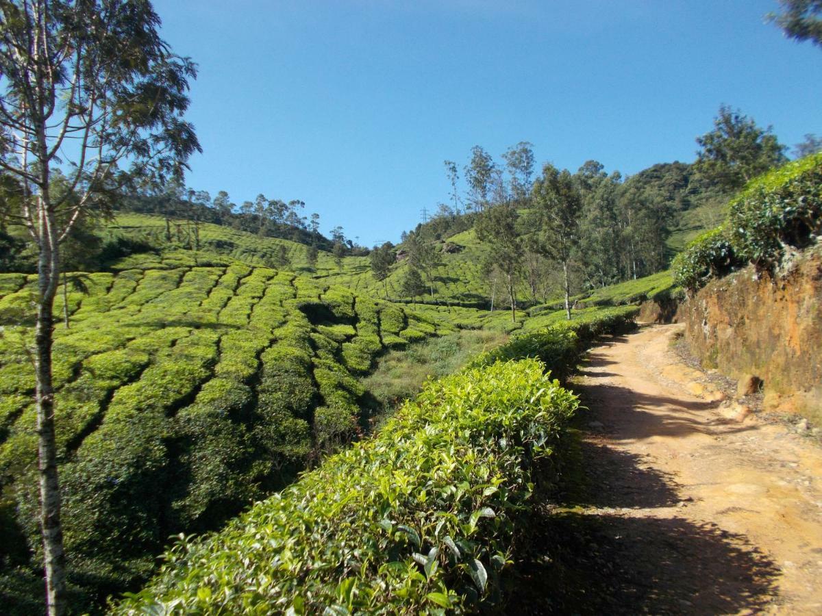 Greenview Holiday Inn Munnar Ngoại thất bức ảnh